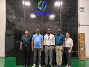 Návštěvy africké zemědělské delegace za účelem výměny: Čínské traktory pomáha...